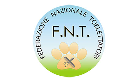 logo-fnt